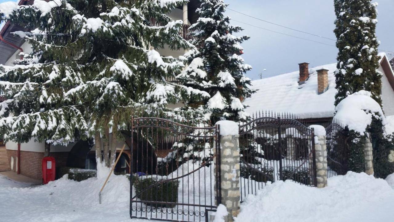 Csaki Vendeghaz in Sovata