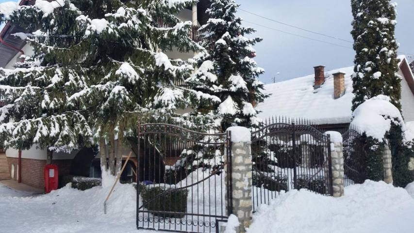 Chambre d’hôte pour 2 personnes, avec jardin et vue, animaux acceptés dans Mureș - 4