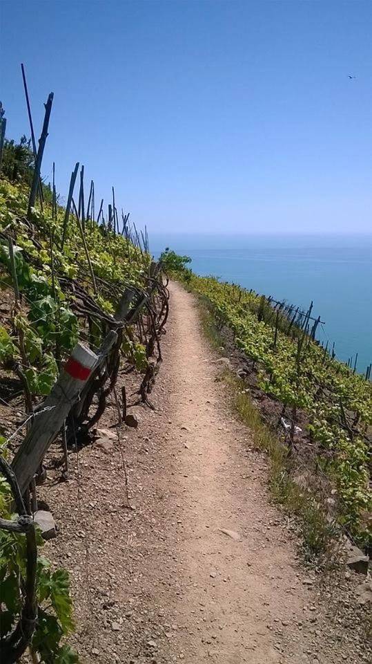 Creuza De 5 Terre in Volastra, Riomaggiore Gemeinde