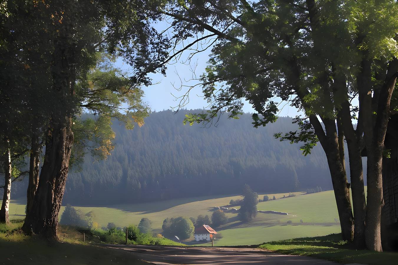 Ferienhaus 'Kornspeicher, 50qm' mit privater Terrasse, privatem Garten und Wi-Fi in Titisee-Neustadt, Südschwarzwald