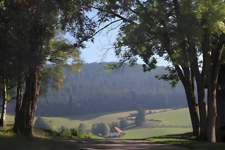 Ferienhaus für 3 Personen, mit Garten in Titisee-Neustadt - 4