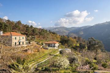 Casa De Férias para 10 Pessoas em Resende, Vale do Douro, Foto 3
