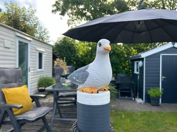 Ferienhaus für 4 Personen, mit Garten in Callantsoog