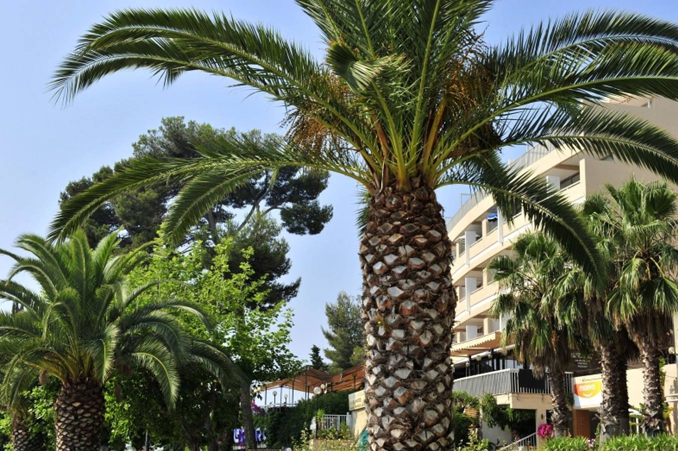 Apartamento entero, Bandol Port Studio 6p in Bandol, Region de Toulon