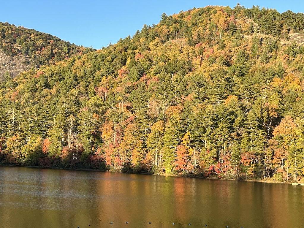 Cozy cabin within walking distance of Cashiers Crossroads. in Jackson County