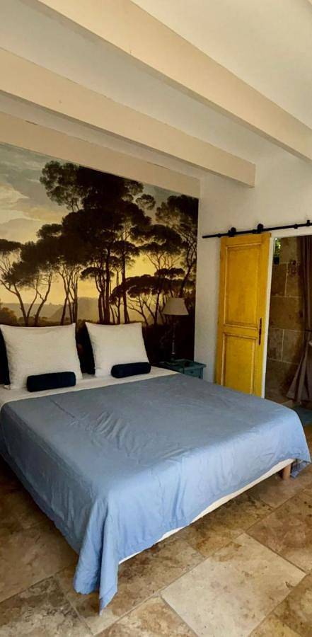 Maison d’hôte pour 2 personnes, avec jardin, animaux acceptés à L'Isle-sur-la-Sorgue - 4