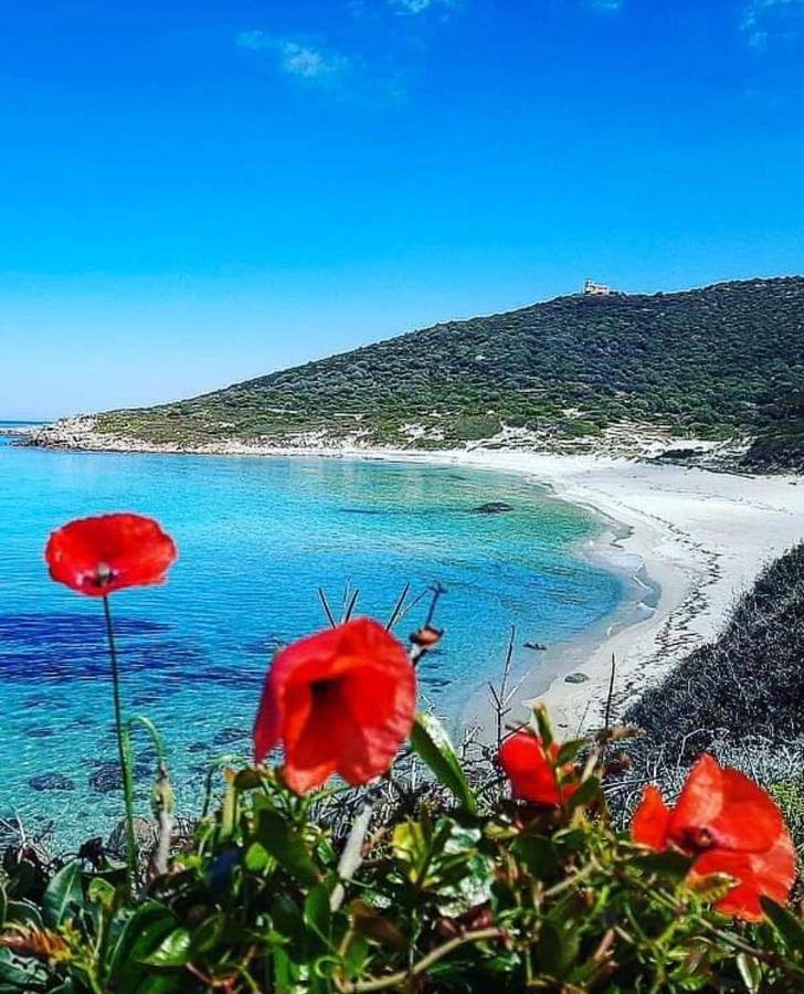 Appartement entier, La Balagne ça nous gagne in Aregno, Région de Calvi
