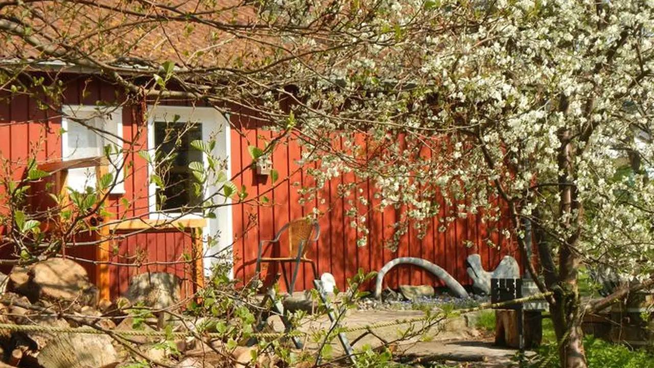 Ganze Ferienwohnung, Ferienwohnung für 3 Personen (30 m²) in Insel Hiddensee in Hiddensee, Vorpommern-Rügen