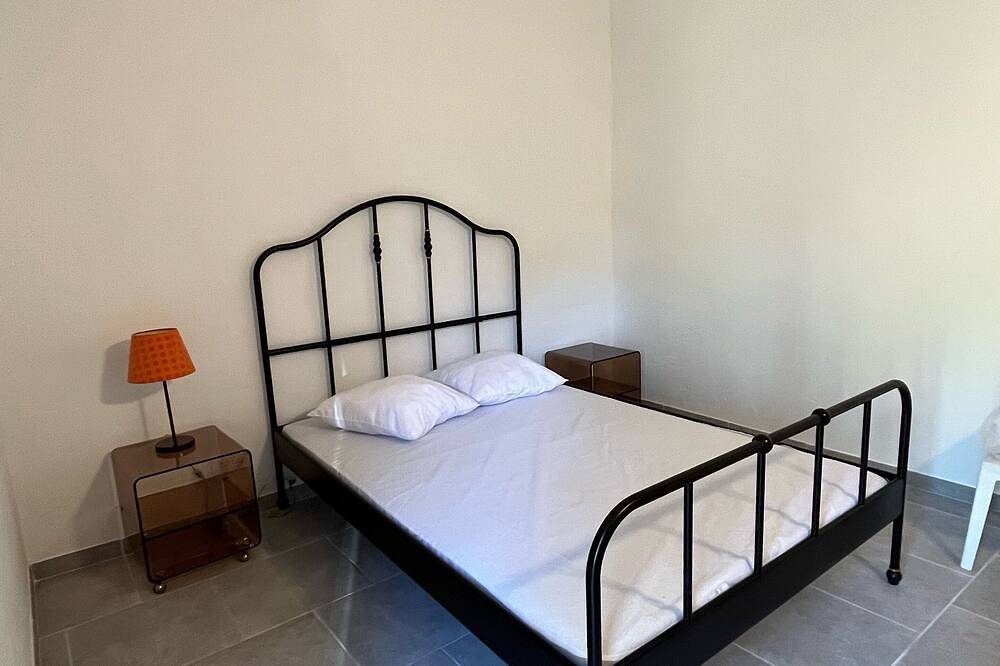 The Roaix olive grove in Roaix, Vaucluse