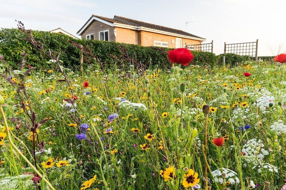 Large garden, dogs welcome,10 Minutes to Beach, Ev charger, solar power, wifi. in Mumby, Lincolnshire