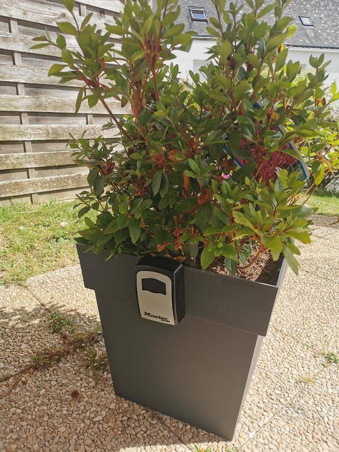 Gîte pour 4 personnes, avec terrasse et jardin à Saint-Nolff - 3