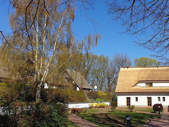 Ferienhaus für 4 Personen, mit Terrasse und Garten in Middelhagen - 2