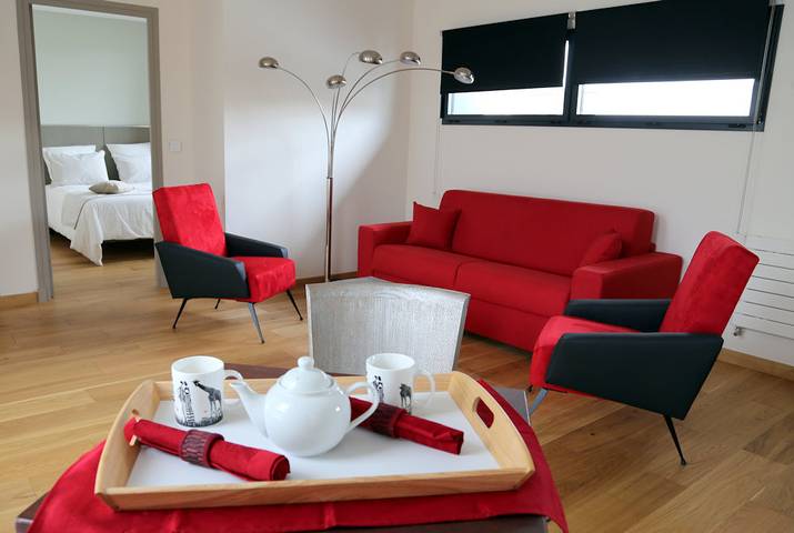 Location de vacances pour 4 personnes, avec jardin ainsi que jacuzzi et sauna à Tours - 2