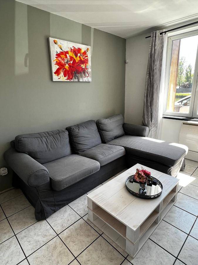 Gîte pour 7 personnes, avec terrasse, animaux acceptés dans Bouchain