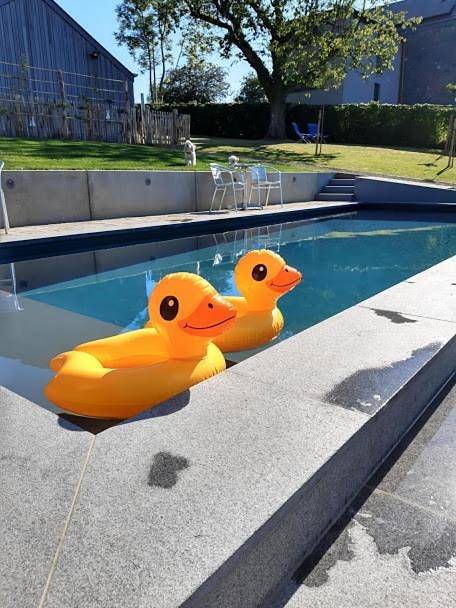Location de vacances pour 2 personnes, avec Terrasse et Jardin ainsi que Piscine et Sauna dans Heyd - 3