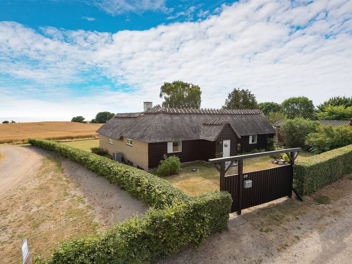 Ferienhaus für 6 Personen, mit Terrasse in Augustenburg - 4
