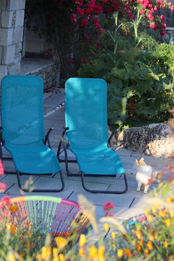 Chambre d’hôte pour 7 personnes, avec vue et jardin dans Parc naturel régional de Brière - 3