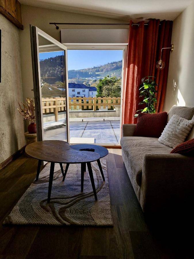 Gîte pour 2 personnes, avec terrasse et vue, animaux acceptés à Granges-sur-Vologne - 4