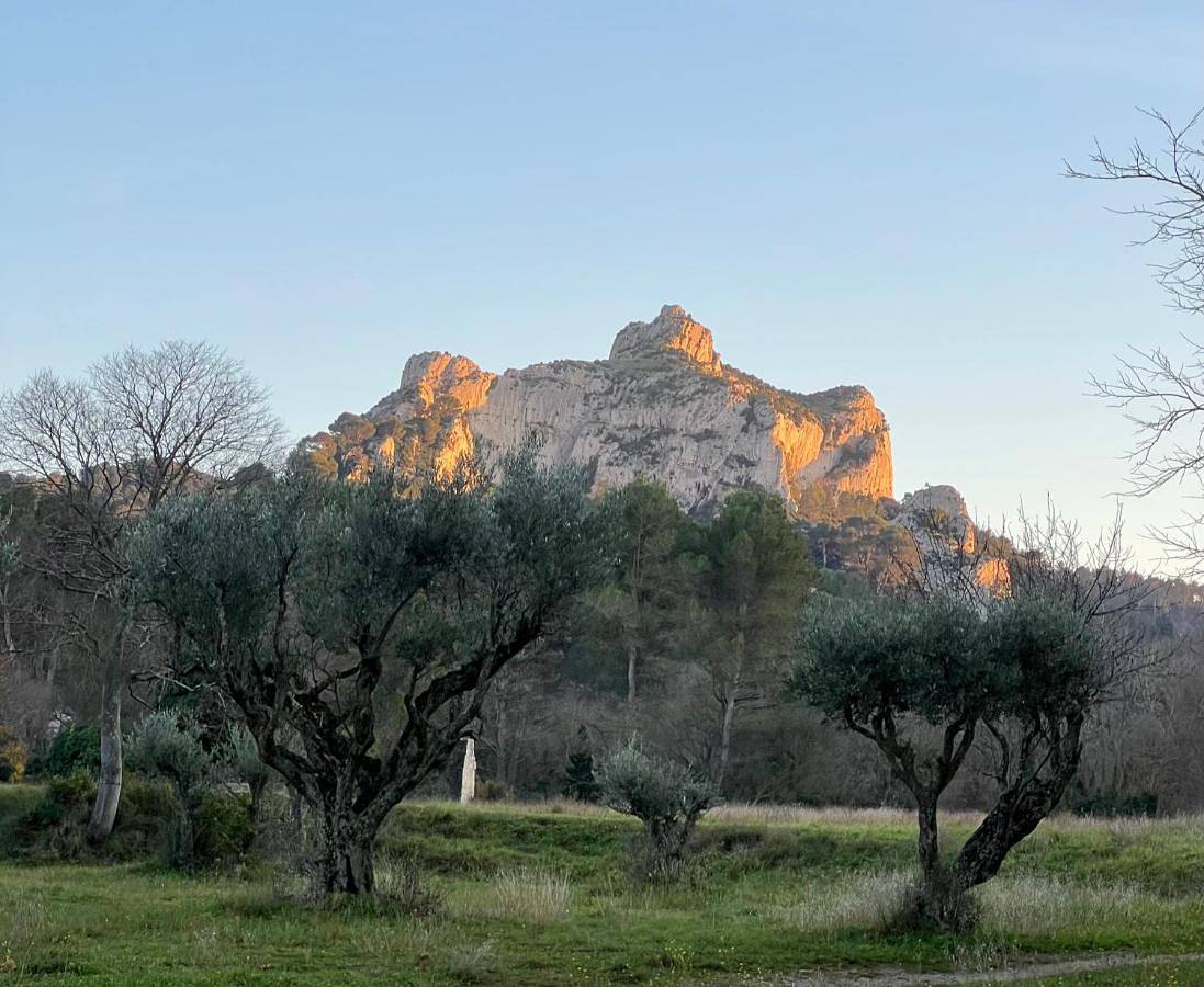 Mas Allard in Tarascon, Région d'Arles