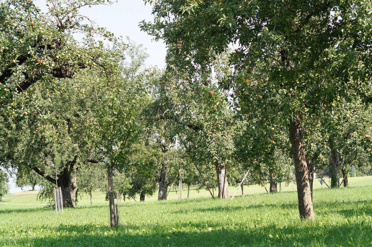 Ganze Wohnung, Ferienwohnung im Obstgarten in Achberg, Region Bodensee-Oberschwaben