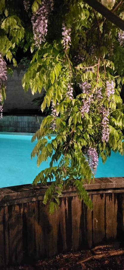 Location de vacances pour 12 personnes, avec jardin ainsi que piscine et vue à Herentals - 2