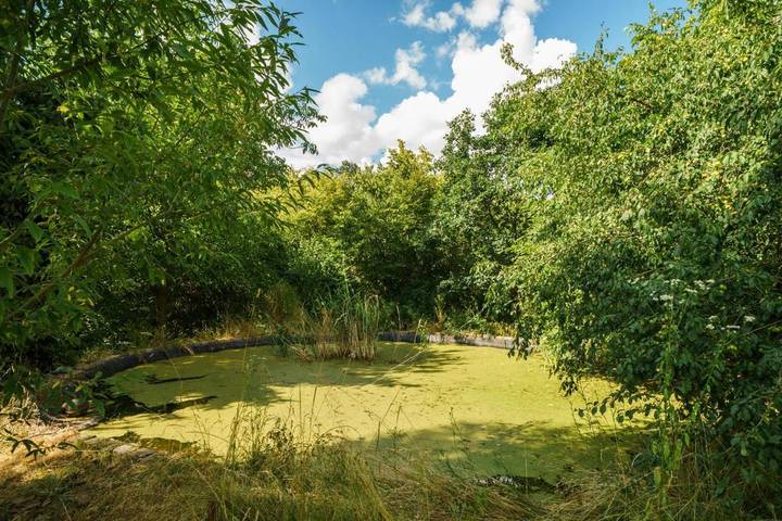 Ferienhaus für 4 Personen, mit Garten und Ausblick, mit Haustier in Prag - 2