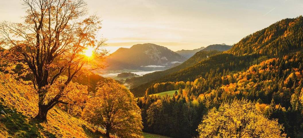 Ferienhaus für 6 Personen, mit Terrasse und Sauna in Ruhpolding - 4