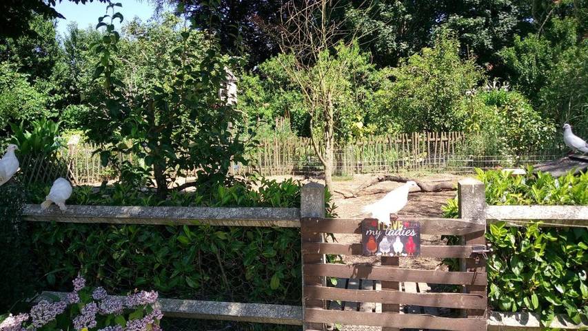 Chambre d’hôte pour 2 personnes, avec vue ainsi que jardin et terrasse, animaux acceptés dans les Deux-Sèvres - 4