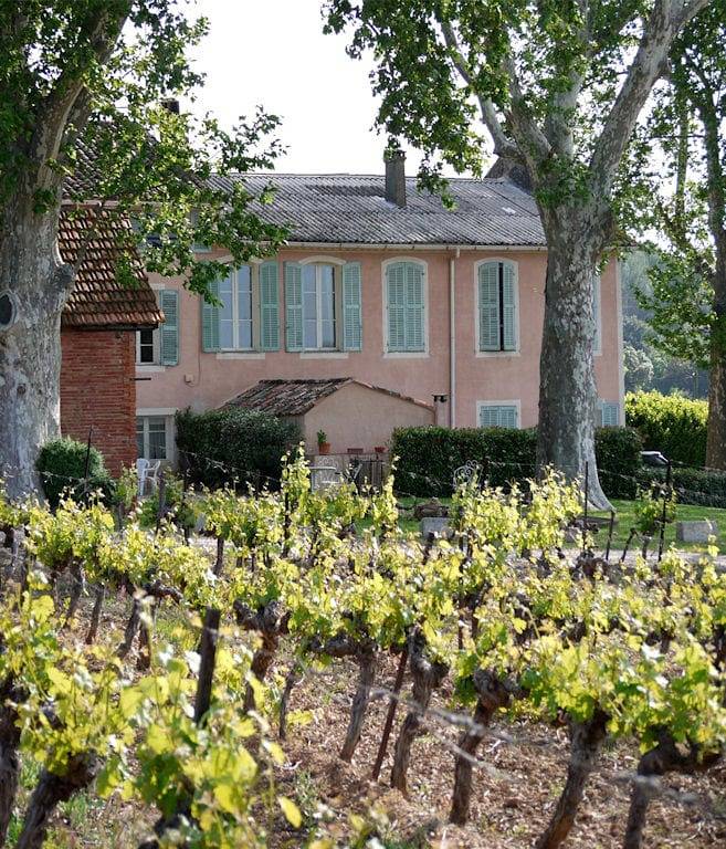 Château Nestuby - Chambres d'hôtes au Vignoble - Syrah in Cotignac, Région de Brignoles