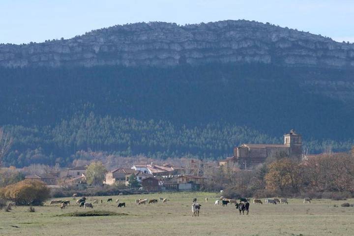 Casa rural para 4 personas, con Terraza en Abejar - 4
