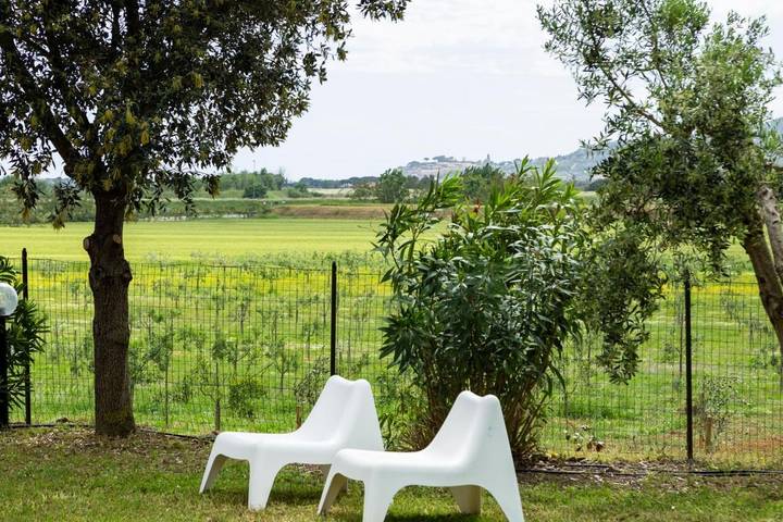 Villa für 6 Personen, mit Ausblick und Garten in Castiglione della Pescaia - 3