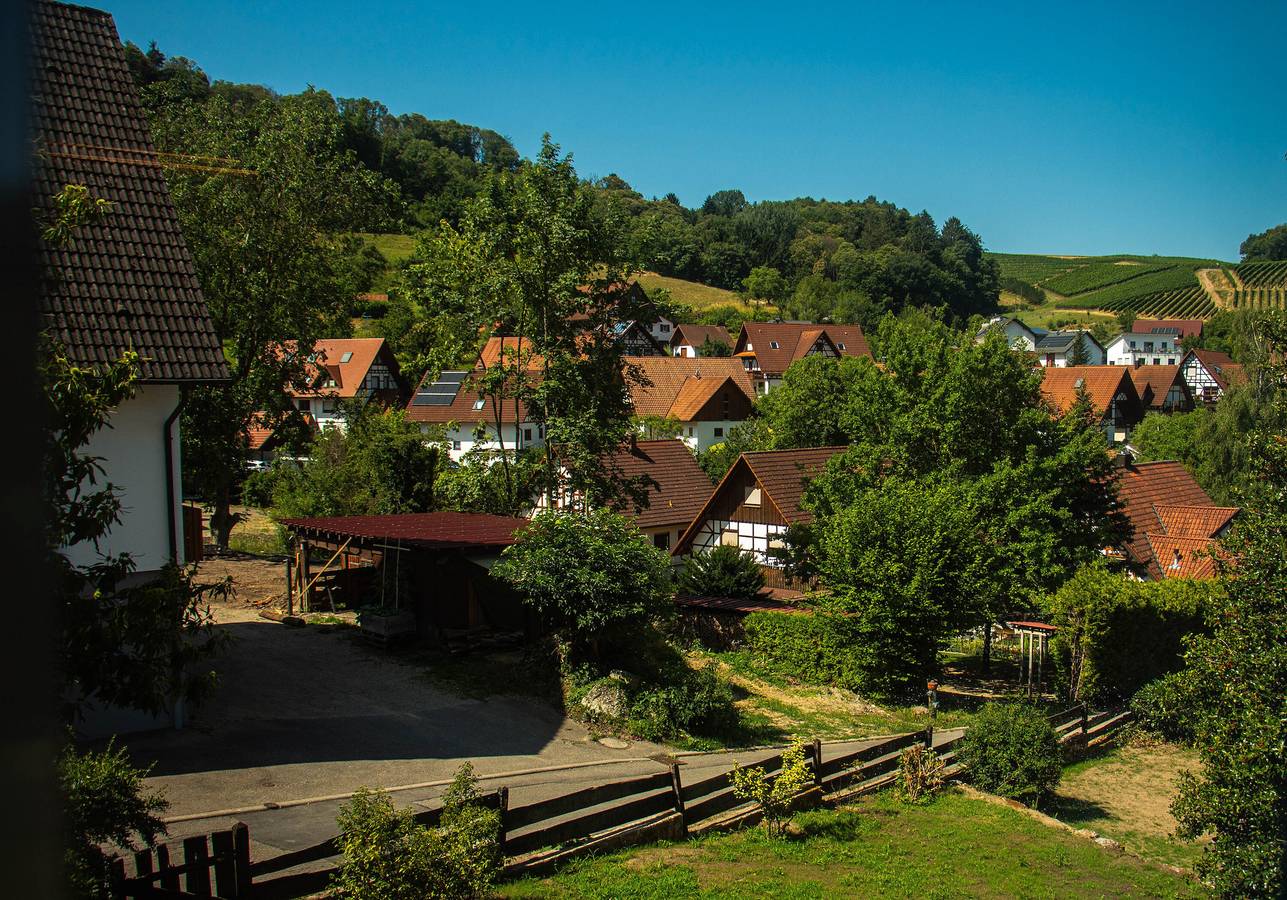 Ganze Wohnung, Apartment 'Fewo Kupferschmid' mit Bergblick, Gemeinschaftsgarten und Wlan in Sasbachwalden, Mittlerer Schwarzwald