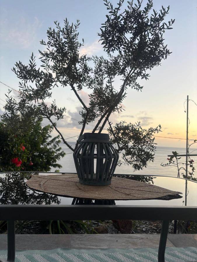 Gîte pour 6 personnes, avec jardin ainsi que vue et piscine à Case-Pilote - 2