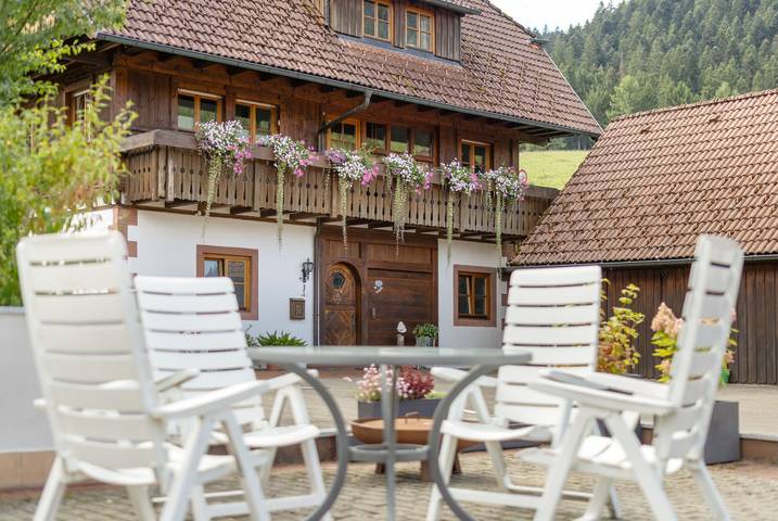 Ganze Wohnung, Ferienwohnung Maulbetsch mit privater Terrasse, Garten und Kamin in Alpirsbach, Kinzigtal