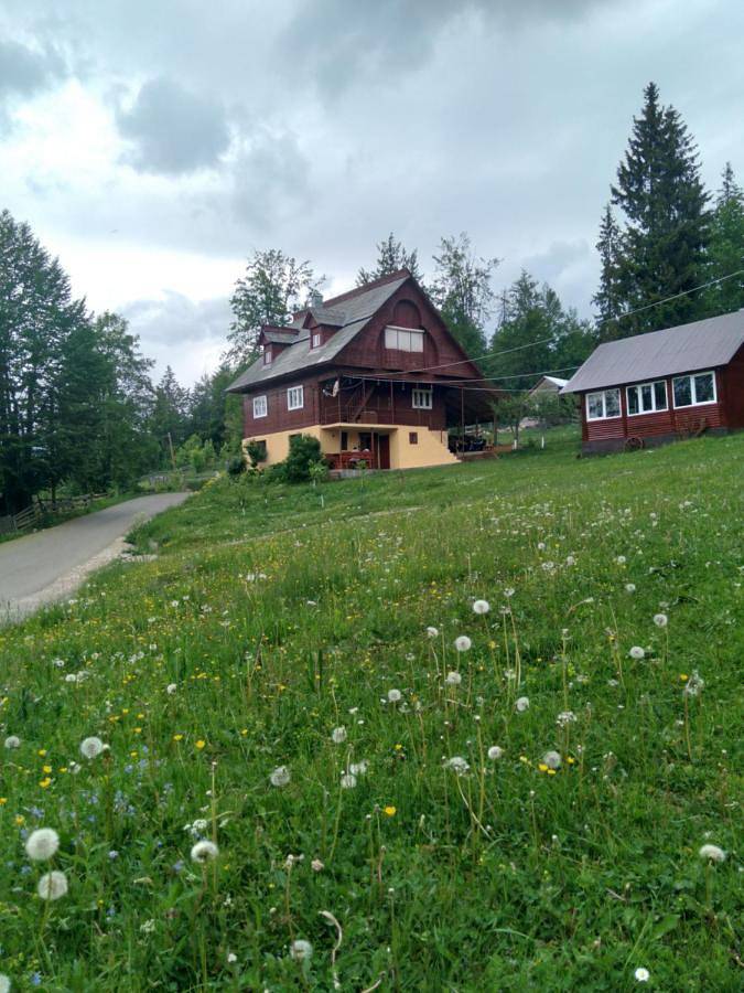 Casa vacanza per 12 persone, con Balcone e Idromassaggio nonché Terrazza e Giardino in Alba Iulia (Romania)