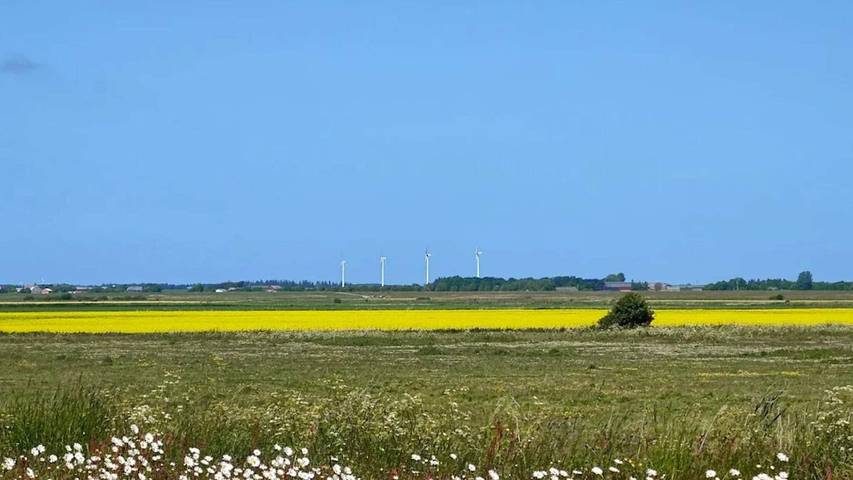 Ferienhaus für 5 Personen, mit Haustier in Højer - 3