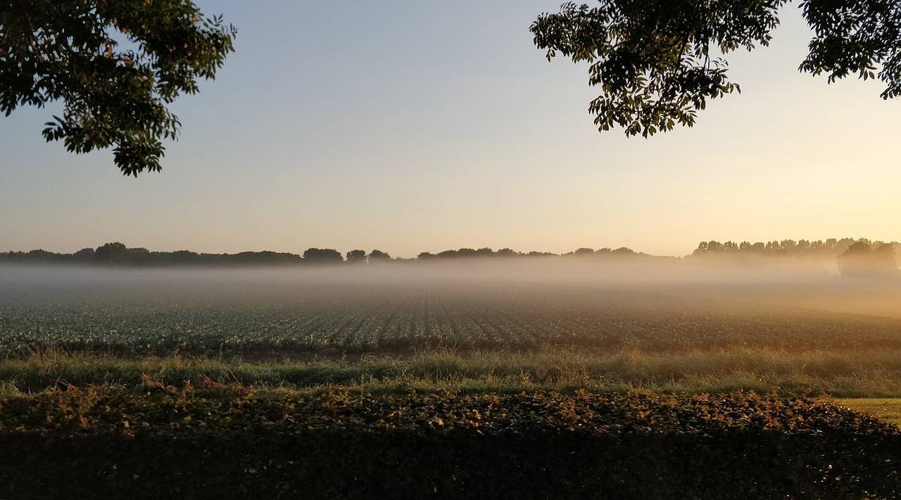 Knus Natuurhuisje aan de Duinrand in Soest (Niederlande), Utrecht und Umgebung