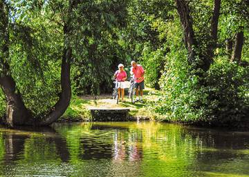 Camping für 6 Personen in Burnham on Sea & Highbridge, Somerset, Bild 2
