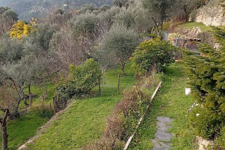 La petite bergerie dans la prairie in Coaraze, Côte méditerranéenne (France)