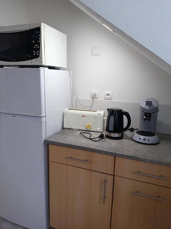 Gîte pour 5 personnes, avec vue sur le lac et vue à Rhinau - 3