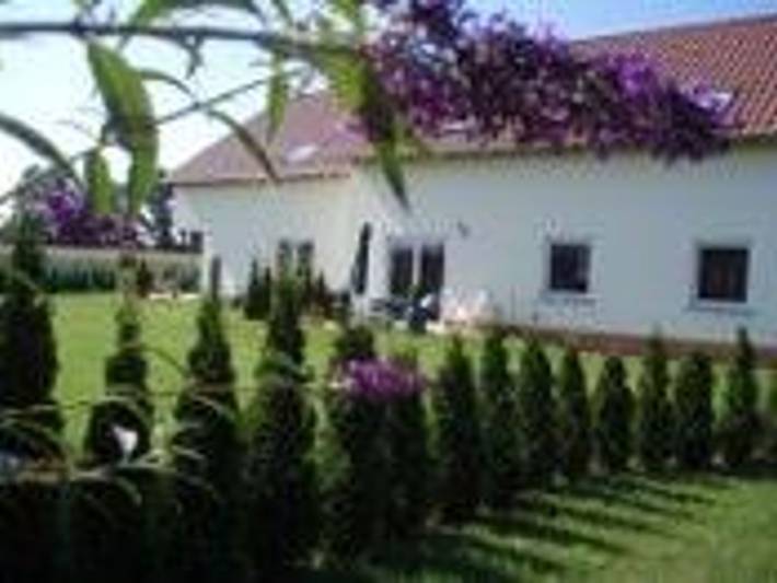 Ferienwohnung für 3 Personen, mit Garten und Terrasse, mit Haustier in Rheinebene - 2