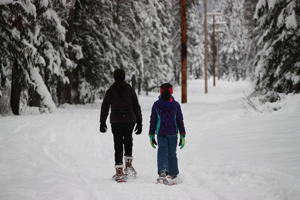 Priest Lake gemütliche Hütte mit modernen Annehmlichkeiten - Winter oder Sommer in Kaniksu Nationalwald