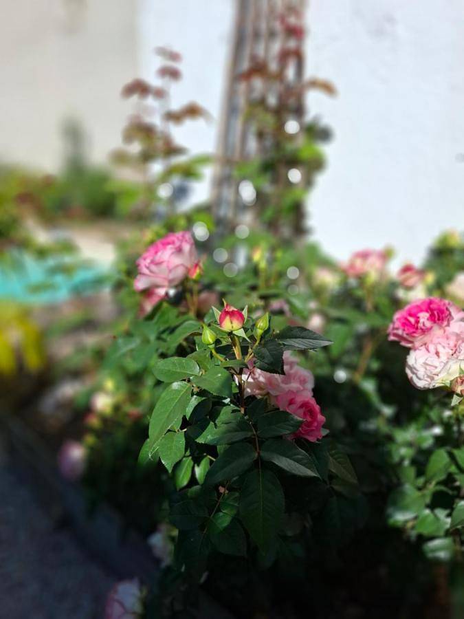 Location de vacances pour 4 personnes, avec jardin et piscine à Bétaille - 4