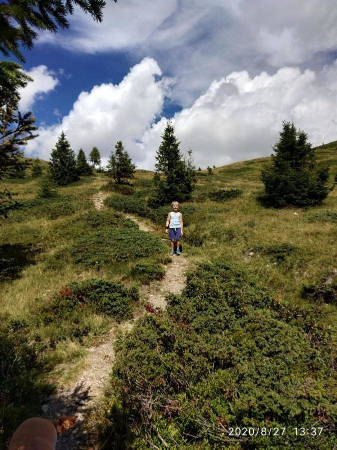 Hôtel pour 3 personnes, avec vue et jardin à Canal San Bovo - 2