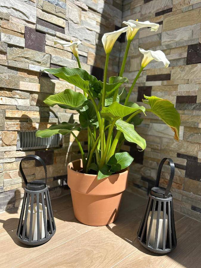 Four-Bedroom House in Villarrubia, Cordoba
