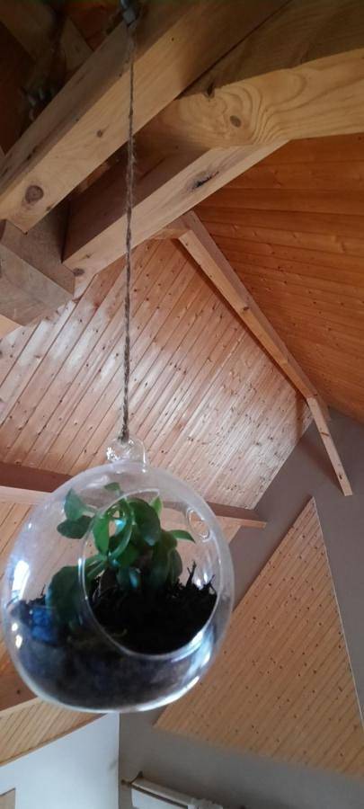 Location de vacances pour 7 personnes, avec vue et jardin à Saint-Pierre-du-Val - 4