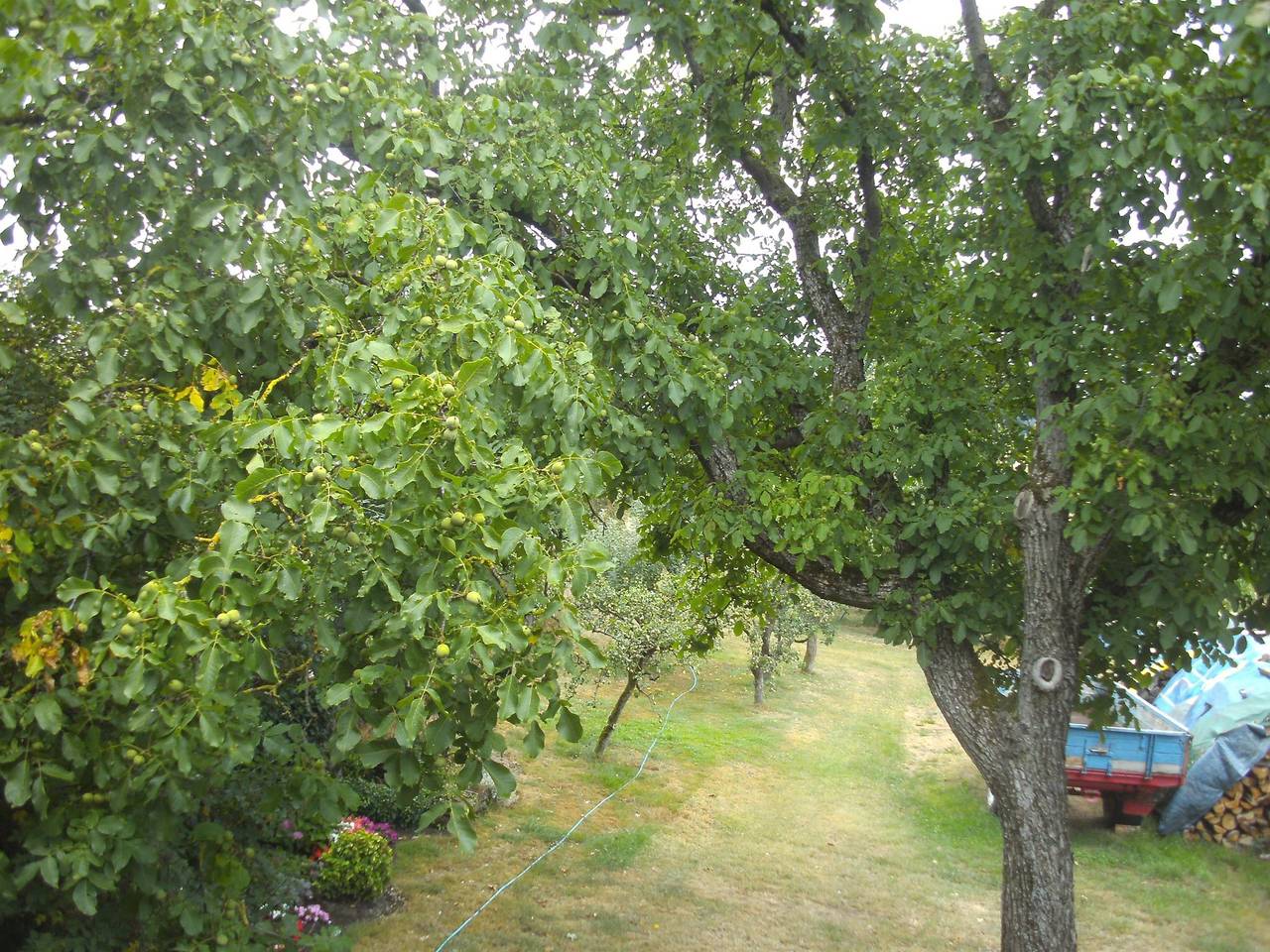 Ganze Ferienwohnung, 2-Bett-Ferienappartement mit Bad/Wc in Eisenach (Rheinland-Pfalz), Eifelkreis Bitburg-Prüm