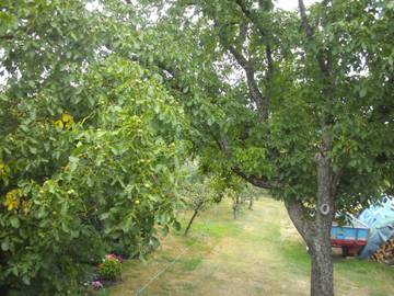 Appartement voor 2 Personen in Eisenach (Rijnland-Palts), Eifelkreis Bitburg-Prüm, Afbeelding 2