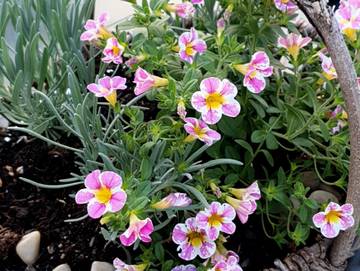 Ferienhaus für 2 Personen in Ehrenberg, Rhön-Hessen, Bild 1