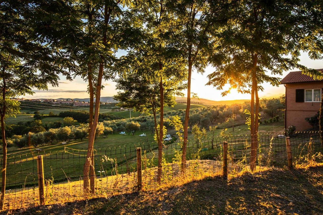Agriturismo Il Sambuco in Monteriggioni, Chianti